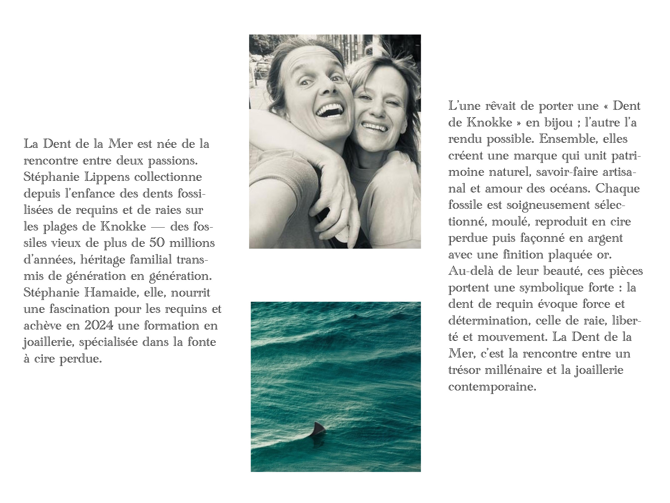 À propos — La Dent de la Mer